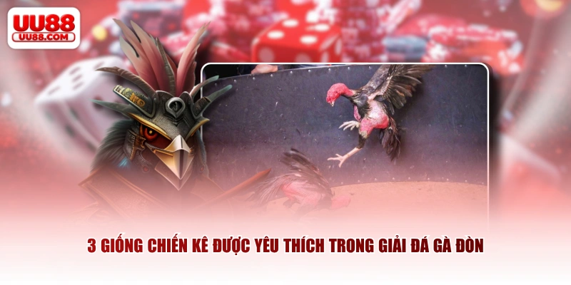 3 giống chiến kê được yêu thích trong giải đá gà đòn