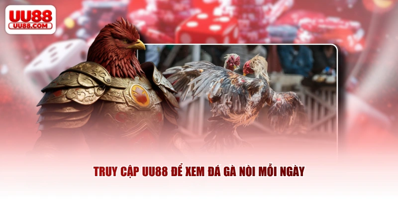 Truy cập UU88 để xem đá gà nòi mỗi ngày